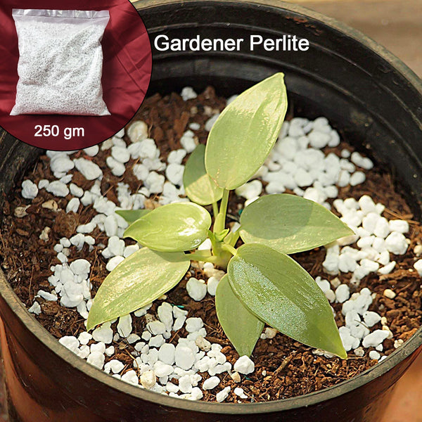 15050 gardening perlite 250gm