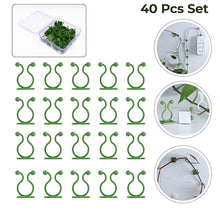 9606 wall plant climbing clip 40pcs