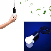 led bulb pull cord light