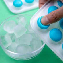 2807 21 cavity ice tray 2pc