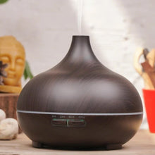 13367 aromatherapy humidifier n remote