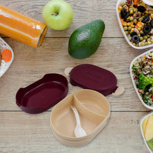 airtight food grade tiffin box with 2 in 1 spoon and 2 compartment