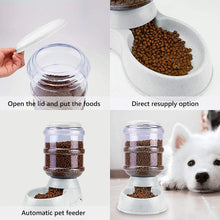 automatic pet water dispenser set