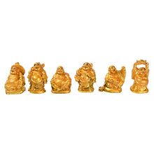 17924 golden laughing buddha 6pc