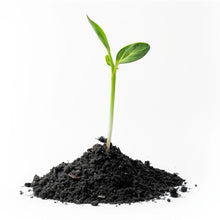 15052 garden vermicompost 1kg