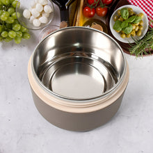 insulated airtight lunch box with spoon