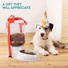 automatic pet water dispenser set