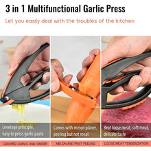 12012 multifunctional garlic presser
