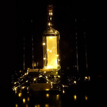 2m wine bottle cork string light