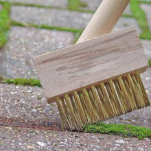 paving brush wooden block patio weed remover