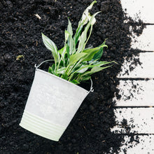 15052 garden vermicompost 1kg