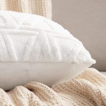18252 mix des pillow cover 2pc