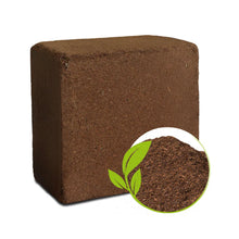 cocopeat block 5 kg