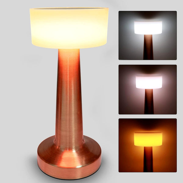 led lamp with touch control decorative desk lamp portable metal led table lamp usb rechargeable 3 color 3 levels brightness dimmable eye protection modern lamp for home decor party kids room bedroom 1 pc 2
