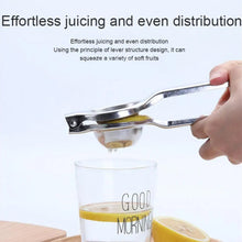 lemon squeezer steel polish