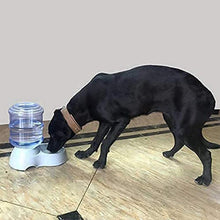 automatic pet water dispenser food storage bottle