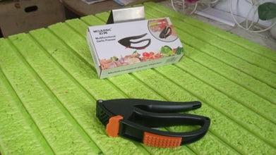 12012 multifunctional garlic presser