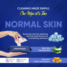0983 refreshing wet wipes for face facial cleansing refreshing skin hydration soothing for skin ph balance alcohol free nourishing with fruit extract 25 wipes icenormal skin