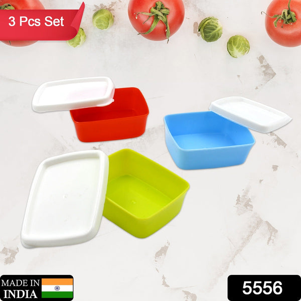 5556 pla small container 3pc d61
