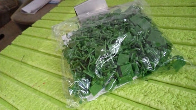 9577 wall plant climbing clip 200pcs