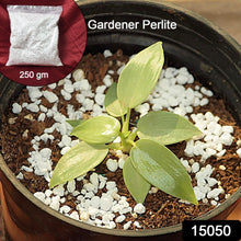 15050 gardening perlite 250gm