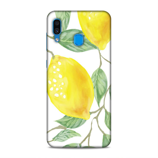 Mango Waterpainting Samsung Galaxy A30 Mobile Back Case